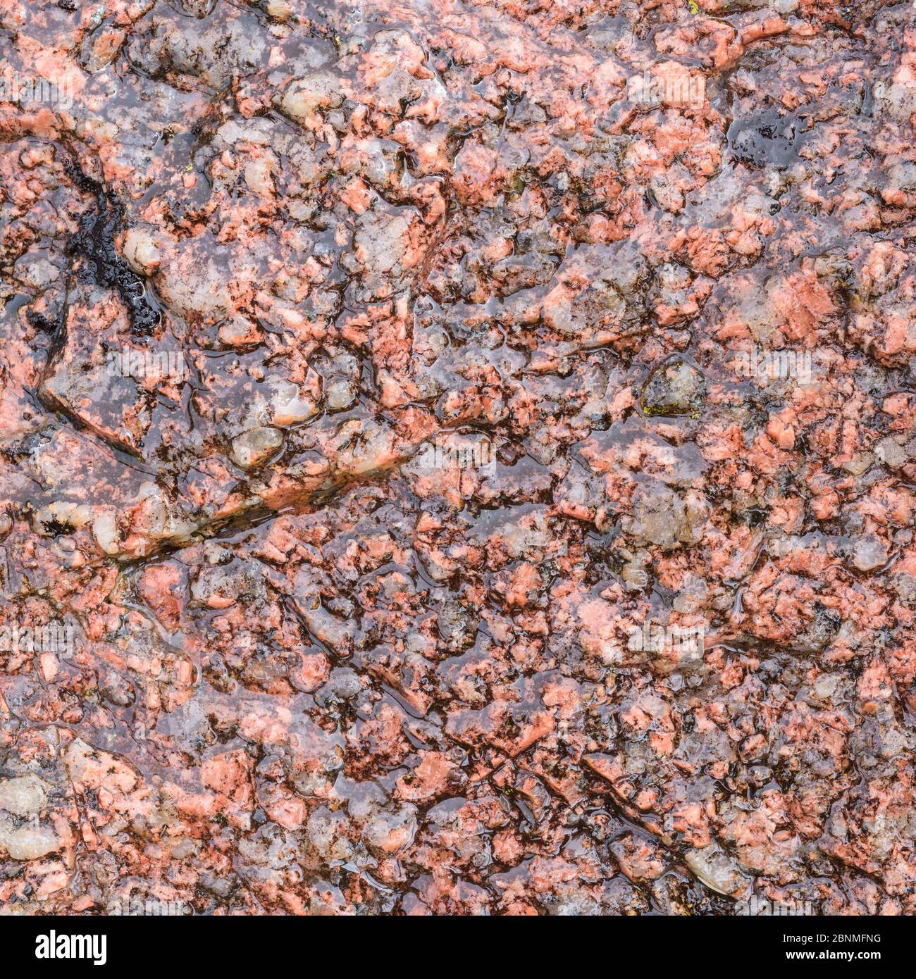 Granite rock sample, Fionnphort, Mull, Scotland Stock Photo
