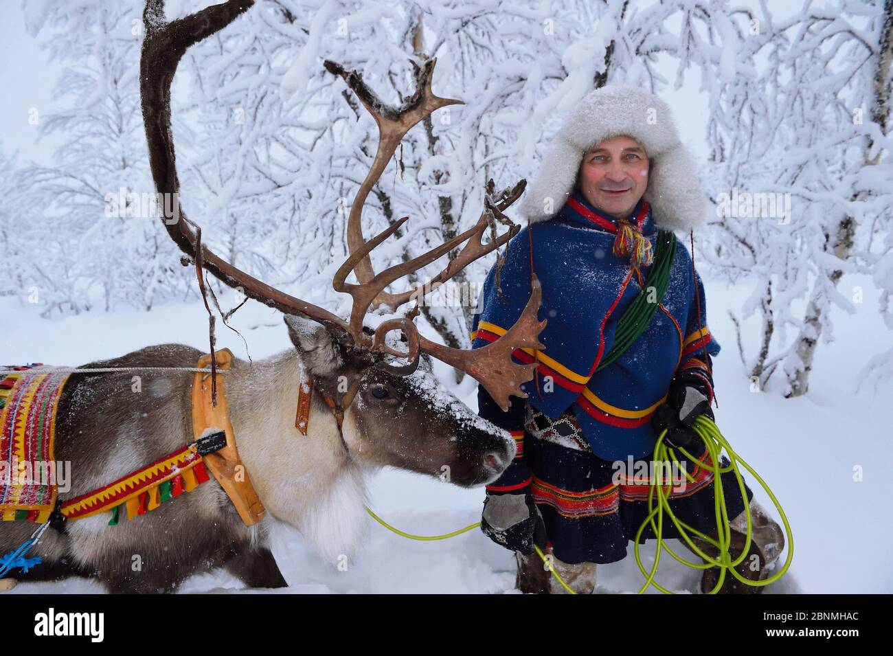 Reindeer sledding in - 25 C, with Nils-Torbjorn Nutti, owner and operator of Nutti Sami Siida, Jukkasjarvi, Lapland, Laponia, Norrbotten county, Swede Stock Photo