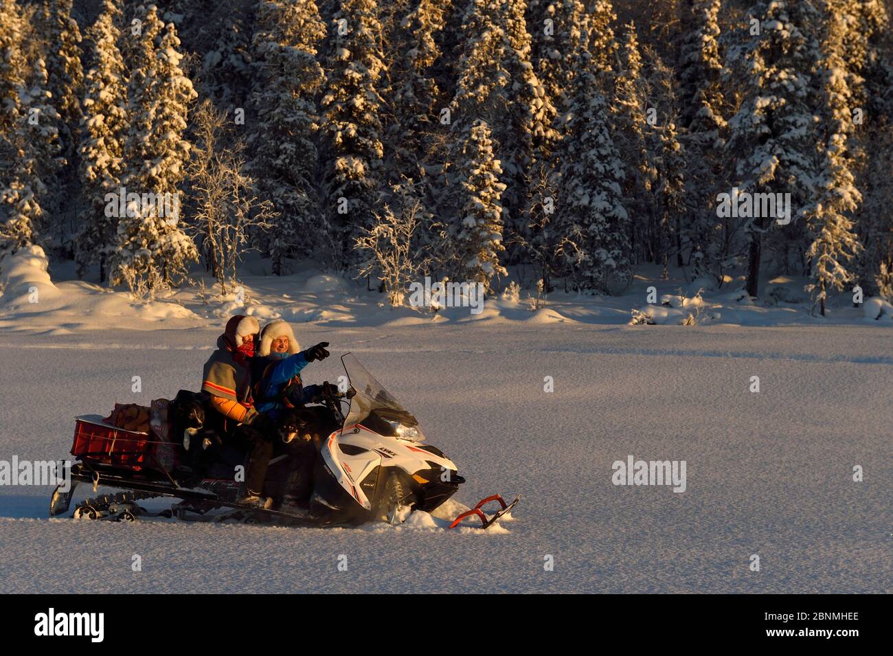 Nils-Torbjorn Nutti, owner and operator at Nutti Sami Siida, and Klara Enbom-Burreau on snowmobile trip into the wilderness, Jukkasjarvi, Lapland, Lap Stock Photo