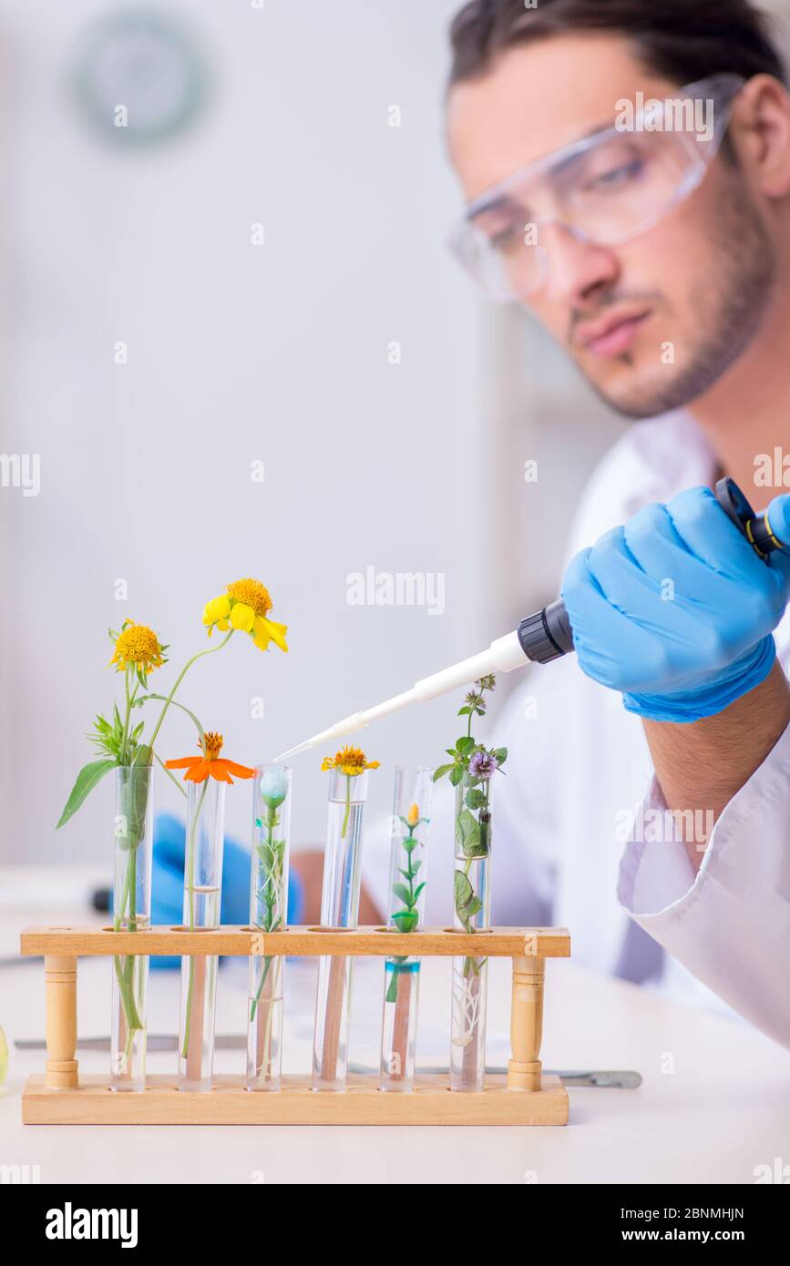 Lab researcher mixing extract liquid hi-res stock photography and ...