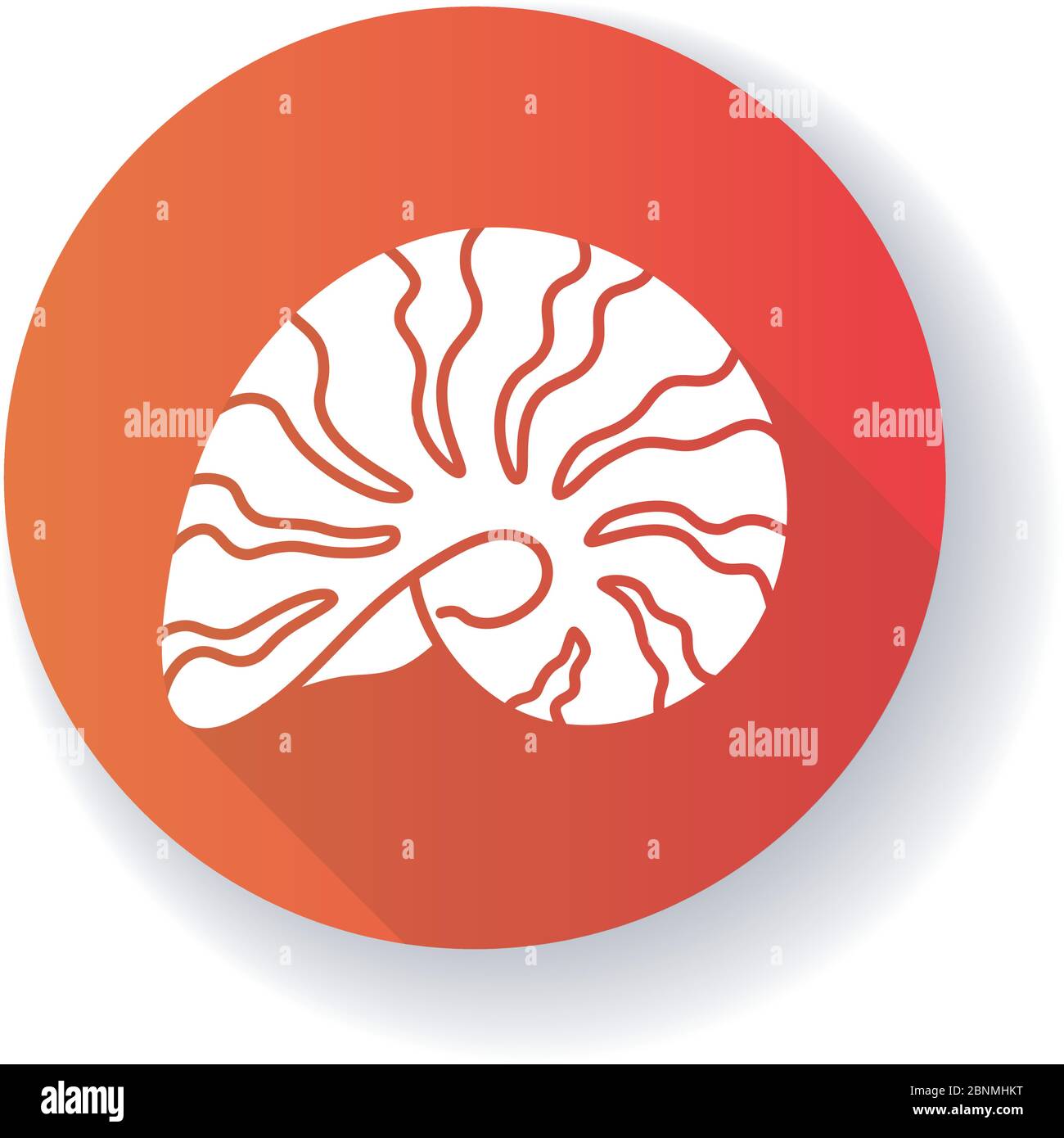 Red sea snail Stock Vector Images - Alamy
