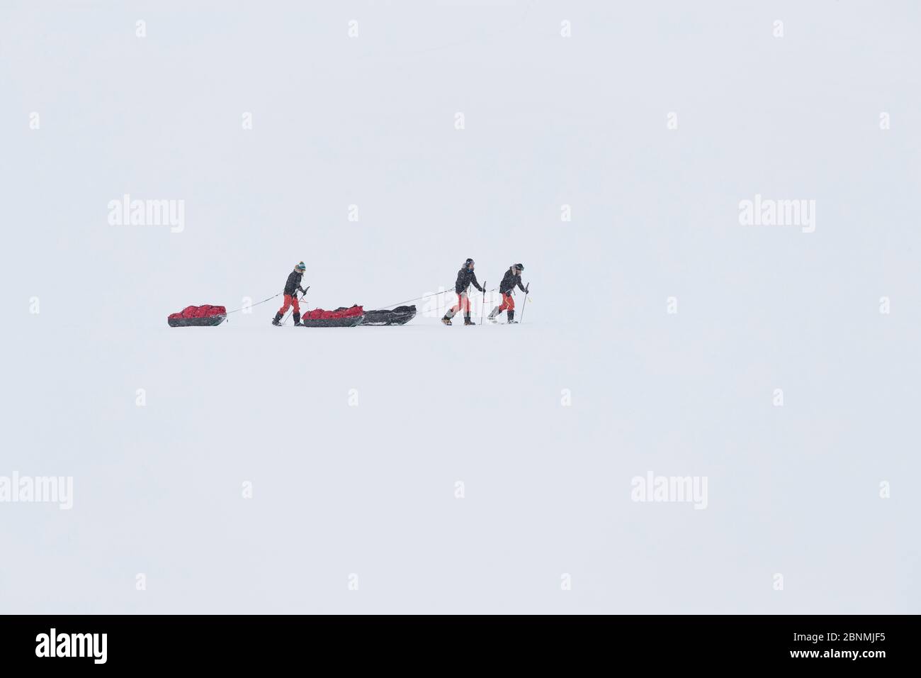 Three people skiing across snow pulling sledges, winter, Spitsbergen, Svalbard, Norway, April. 2016. Stock Photo