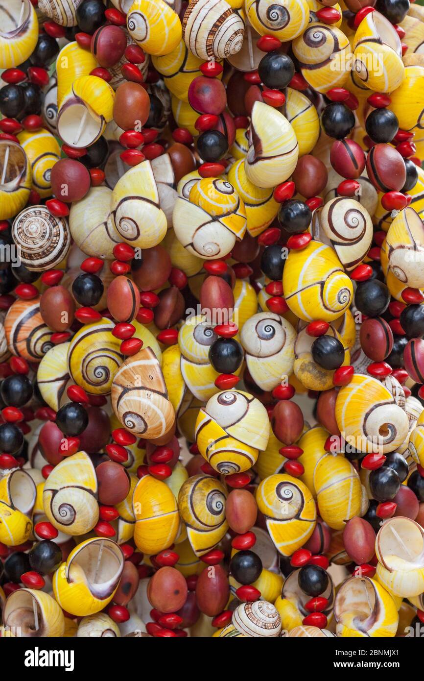 Necklaces made from endangered Polymita land snails for sale to tourists, Cuba Stock Photo Alamy