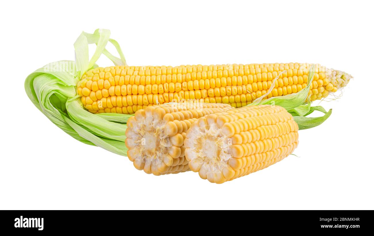 Sweet corns ears isolated on white background. Stock Photo