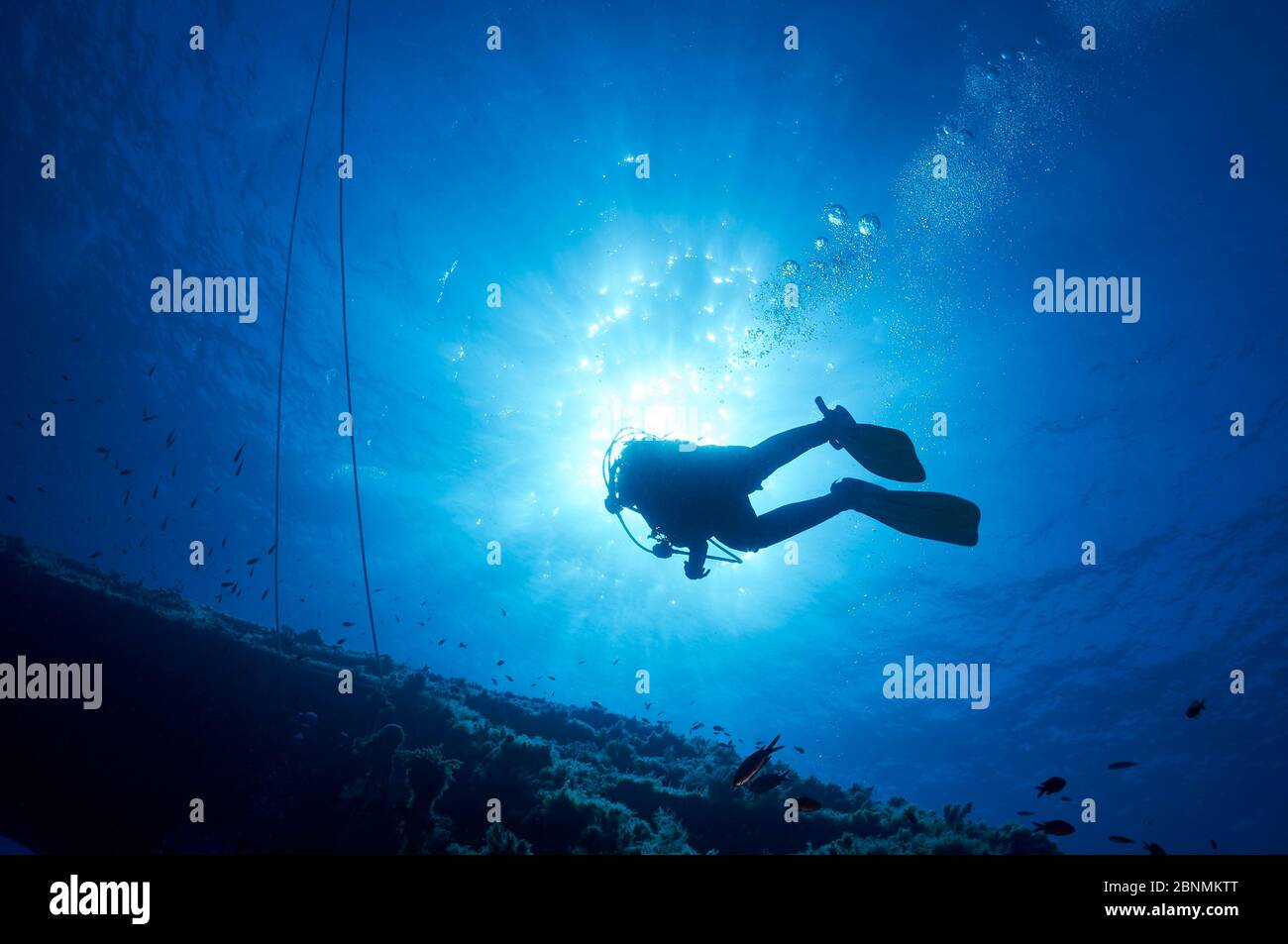 Scuba diver heading to the safety stop rope at La Plataforma Mariana wreck dive site in Ses Salines Natural Park (Formentera, Mediterranean sea,Spain) Stock Photo