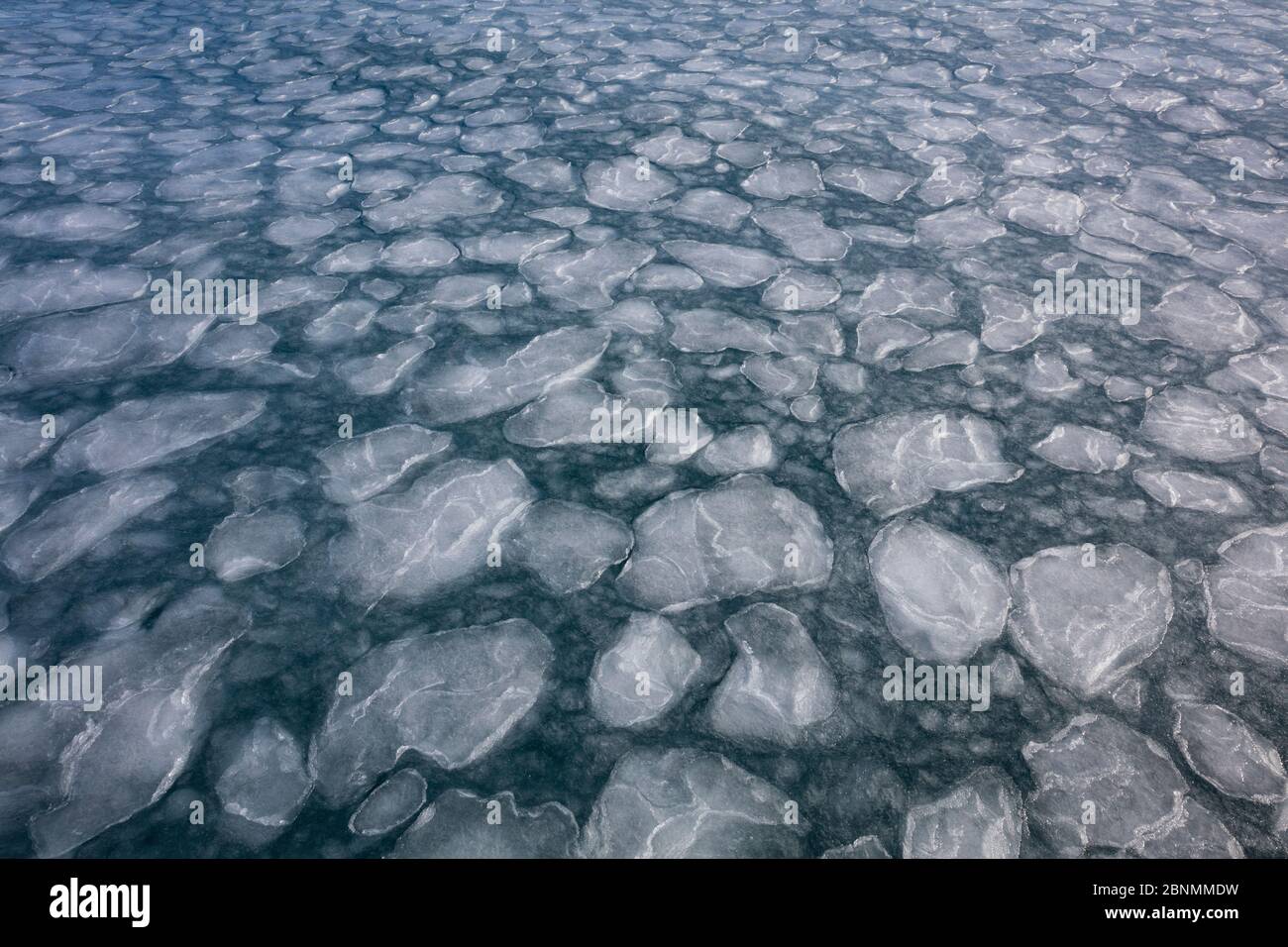 Pancake ice, early stage of formation of sea ice, late winter, Spitsbergen, Svalbard, Norway, April. Stock Photo