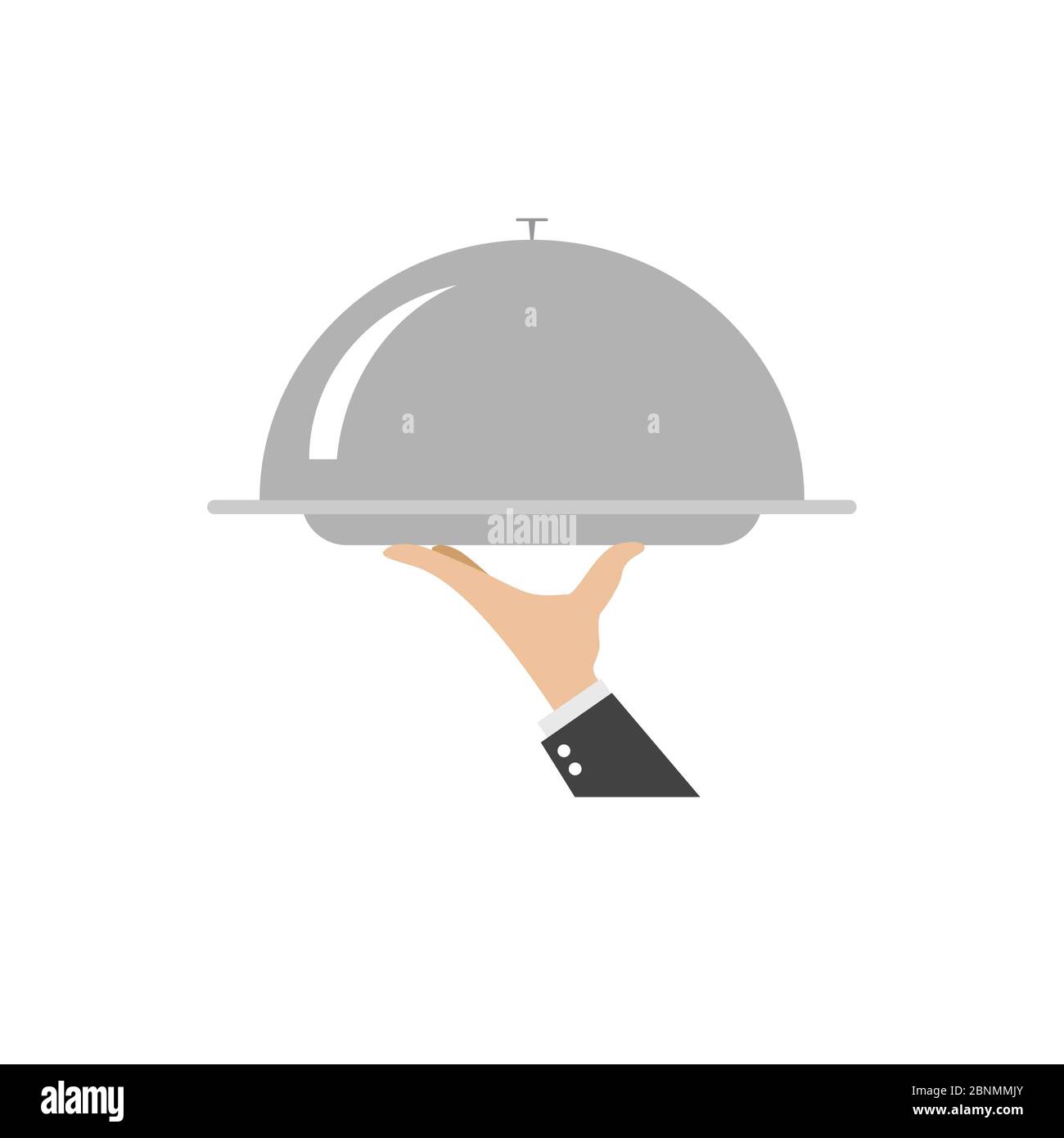 tray on the hand icon vector illustration on the white background, vector Stock Photo