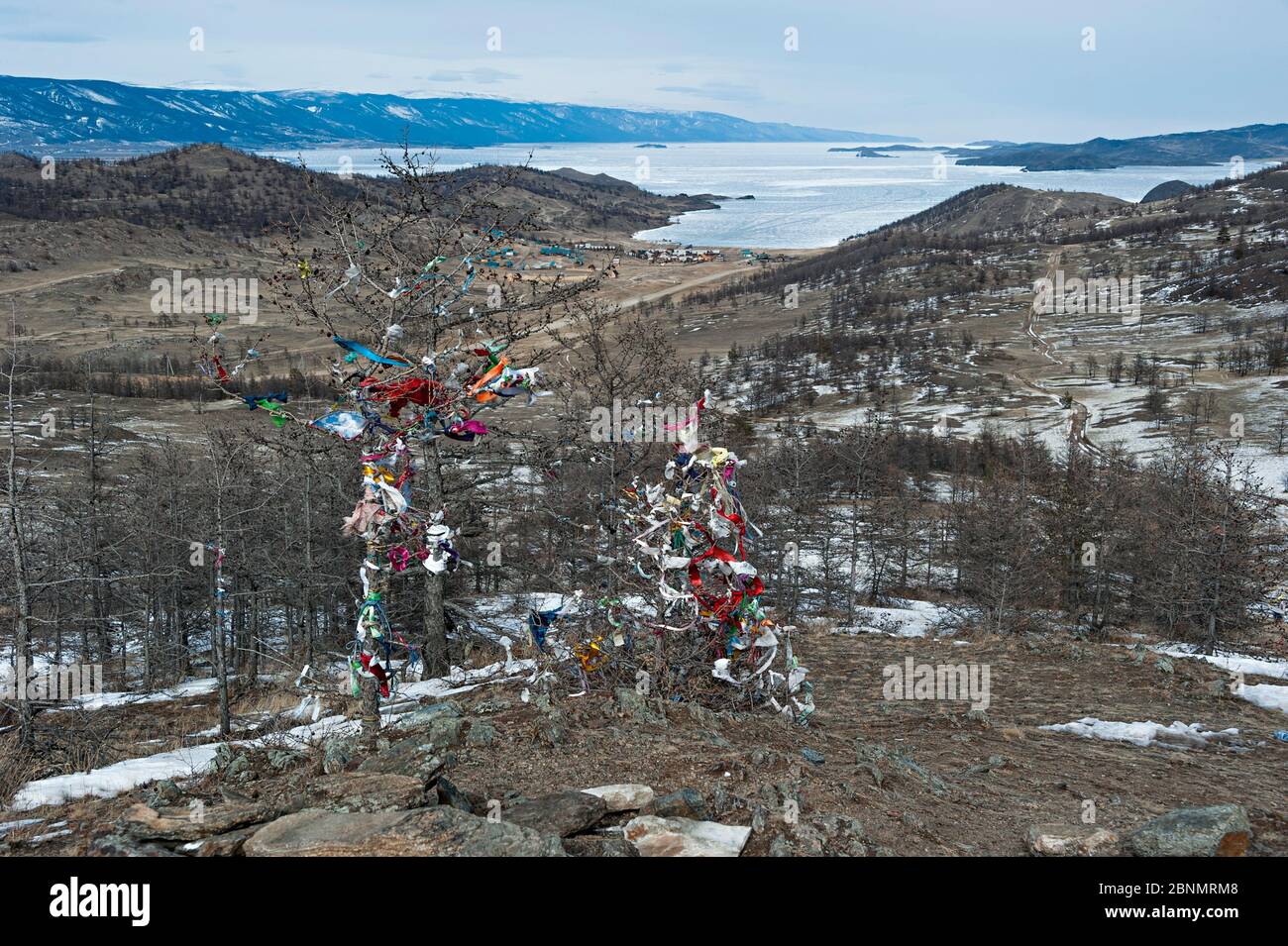 Scarved, ribbons and fabrics symbolically tied to trees in Maloe More ...