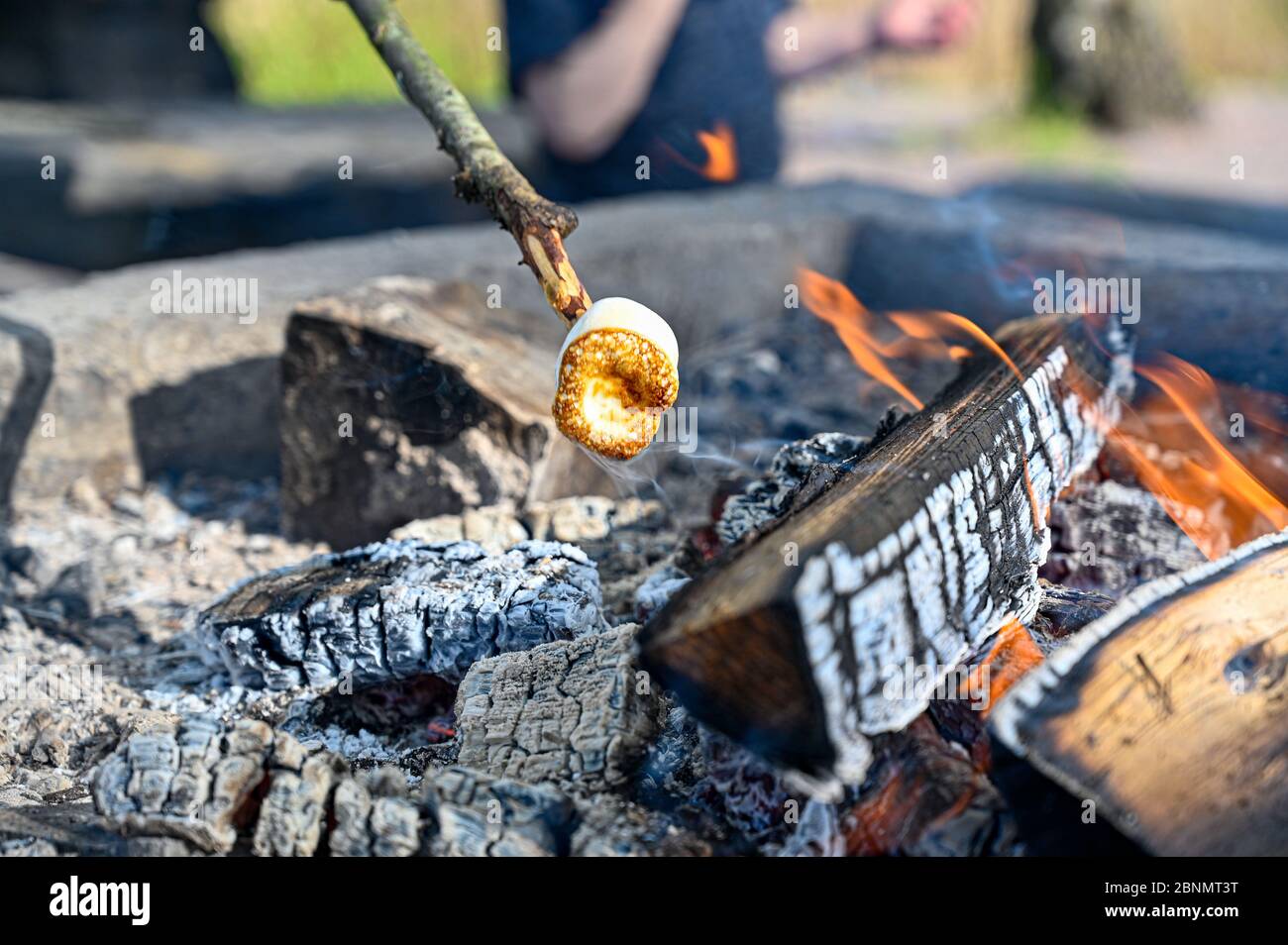 grills marshmallow on stick over open fire Stock Photo