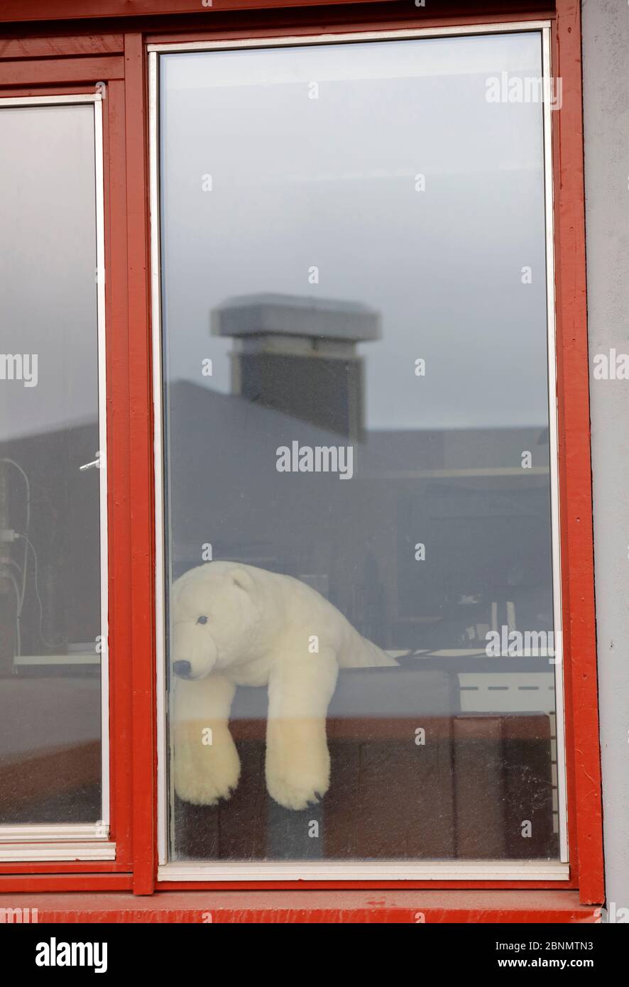 Polar bear teddy bear in window, Longyearbyen, Svalbard, Norway, July