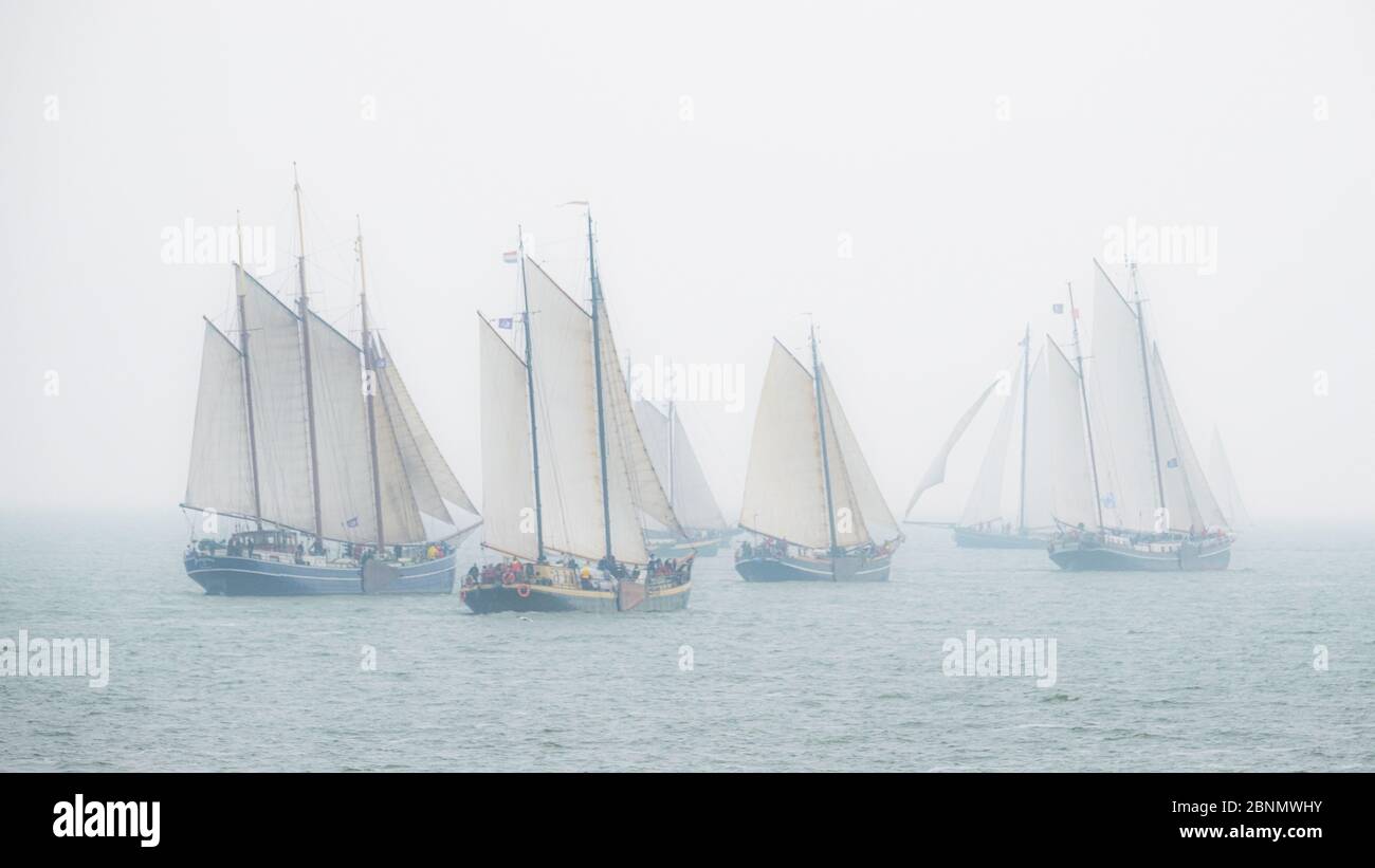 Flat-bottom ship regatta Stock Photo