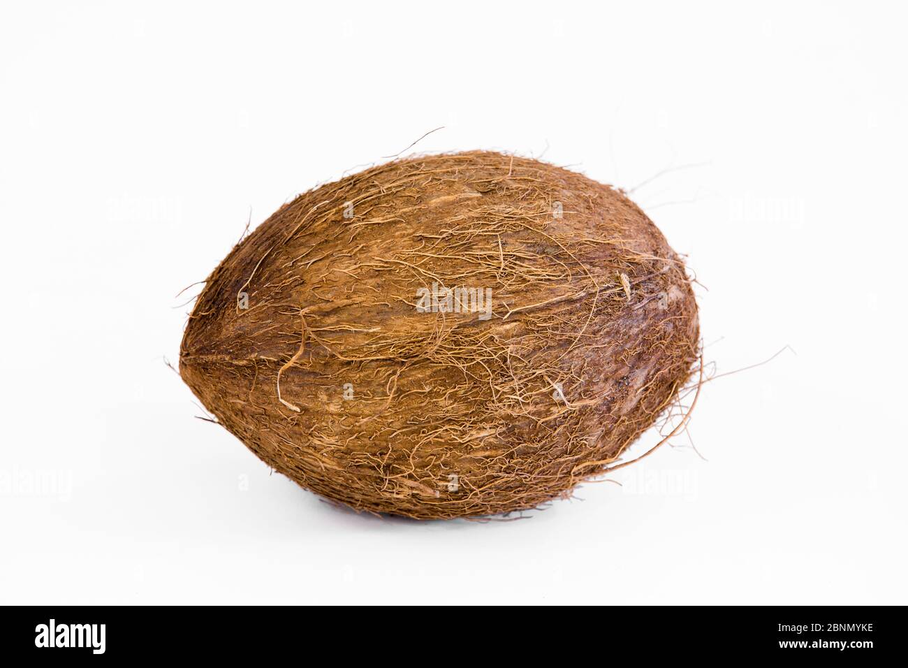 Coconut fruit (Cocos nucifera) Stock Photo