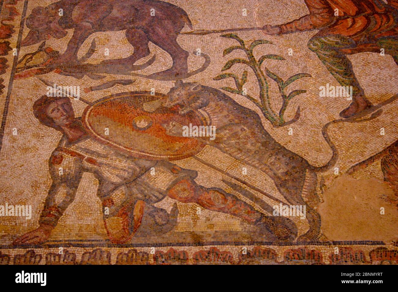 Mosaic of the Oecus Caceria Colourful preserved mosaic with leopard leaping at hunter holding shield Roman Villa of Olmedo Saldaña Palencia Spain Stock Photo