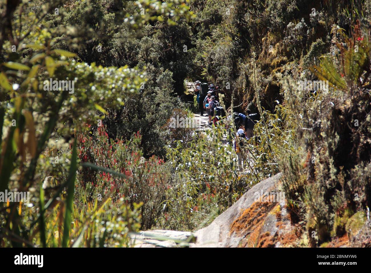 Machu Picchu Peru Hikers High Resolution Stock Photography and Images ...