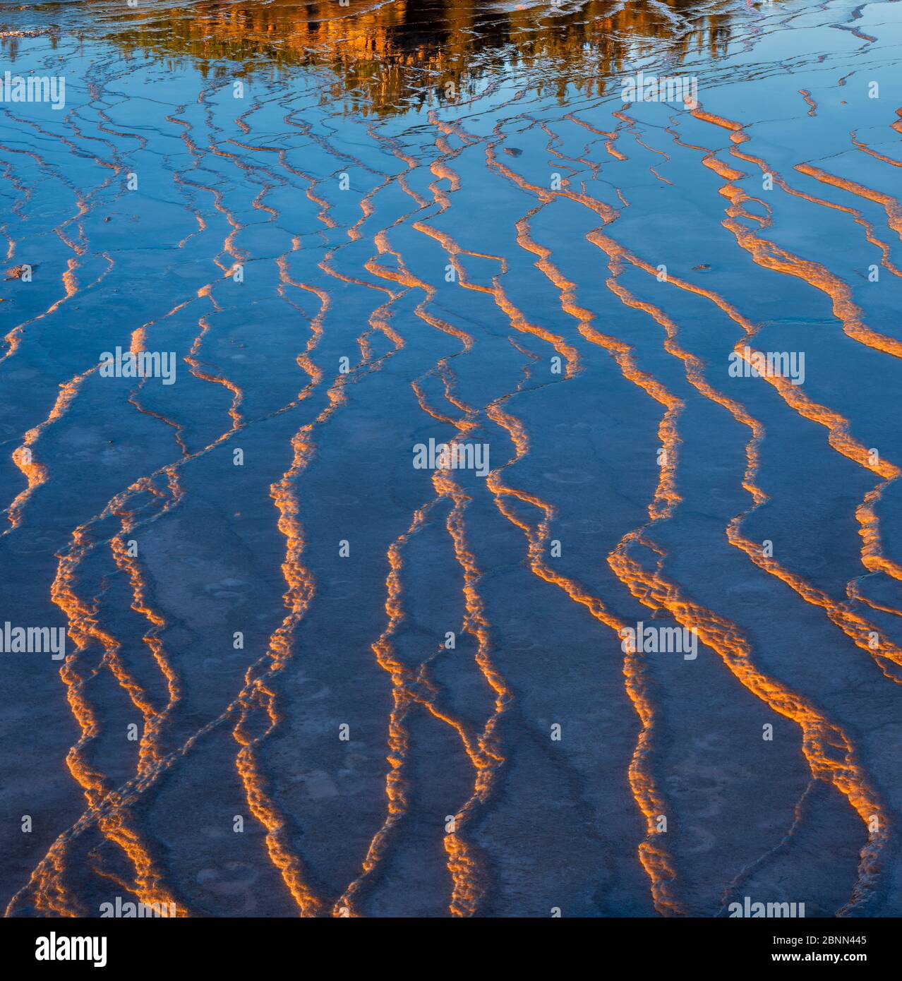 Patterns in the bacterial mats in afternoon light. Grand Prismatic spring, Middle Geyser Basin,Yellowstone National Park,  Wyoming, USA. Stock Photo