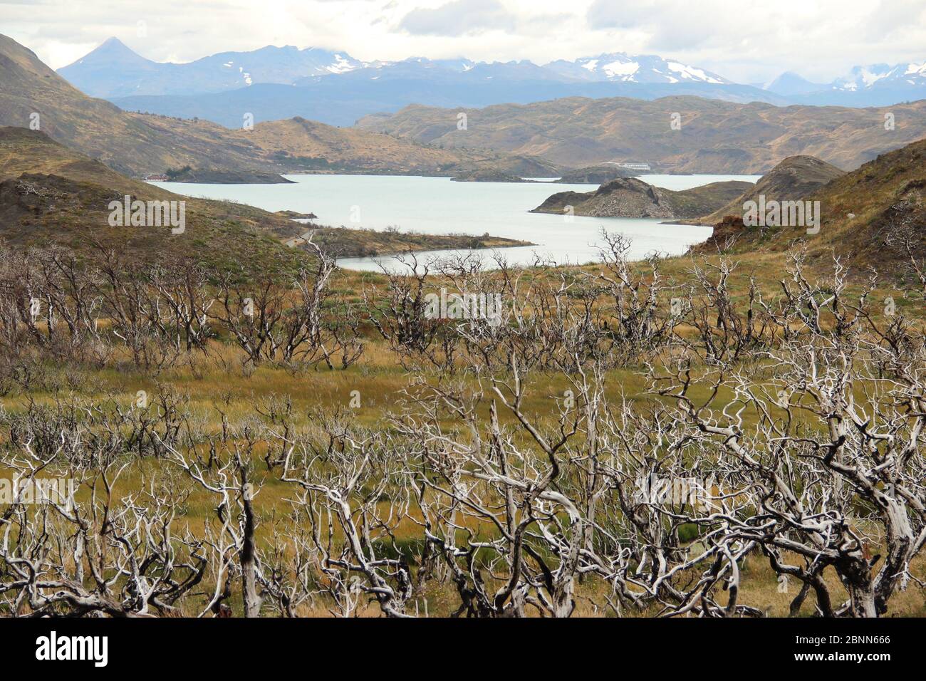Traveling in Chile is a lesson in the ravages of climate change, image size:1300x956