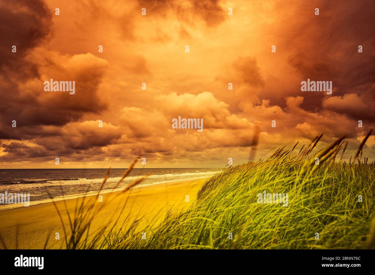 Sandy beach and dune landscape of Thorsminde, Denmark Stock Photo
