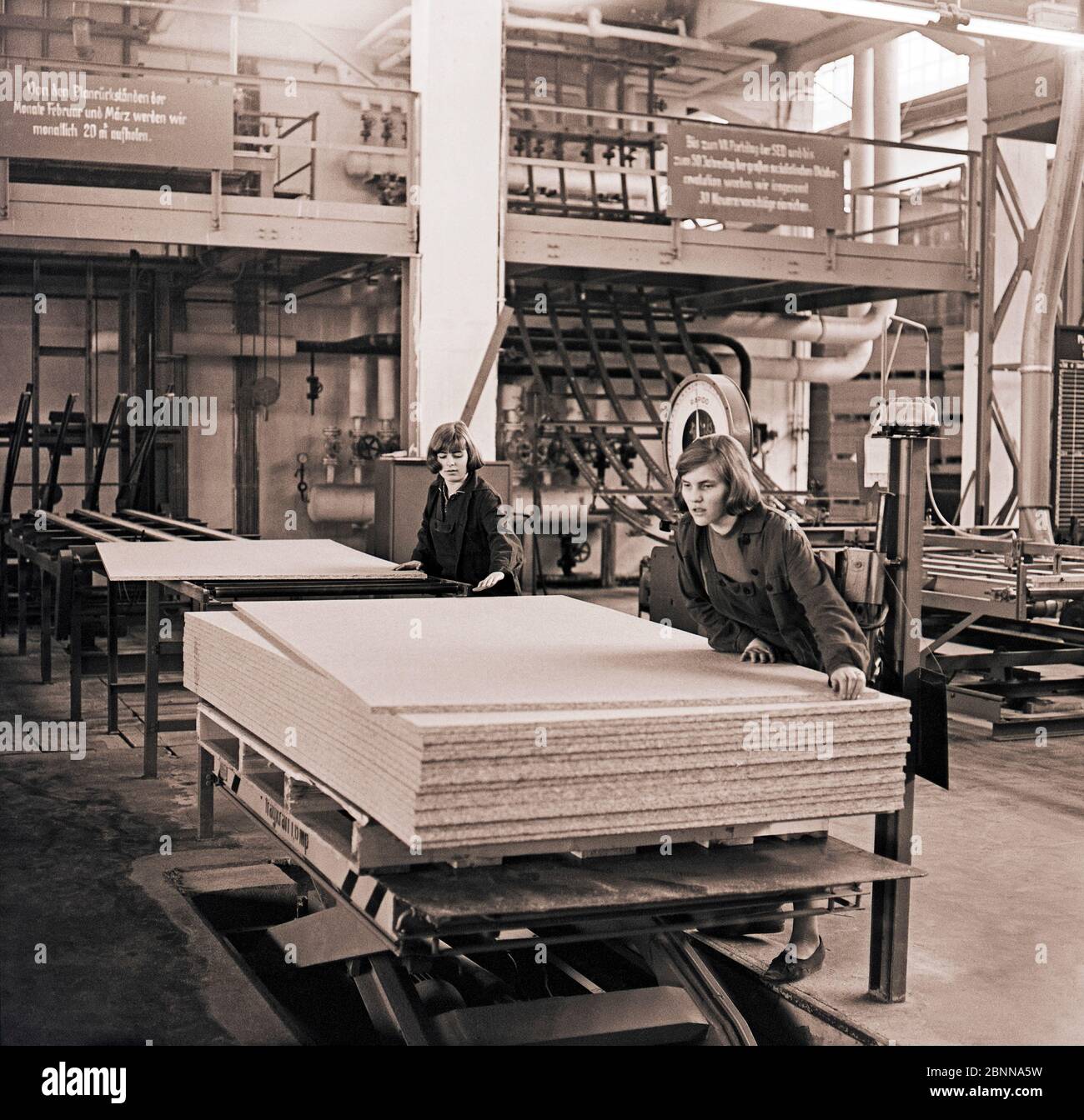 GDR era, two young women work in a particleboard plant of the Deutsche Werkstaetten Hellerau in Saxony Stock Photo