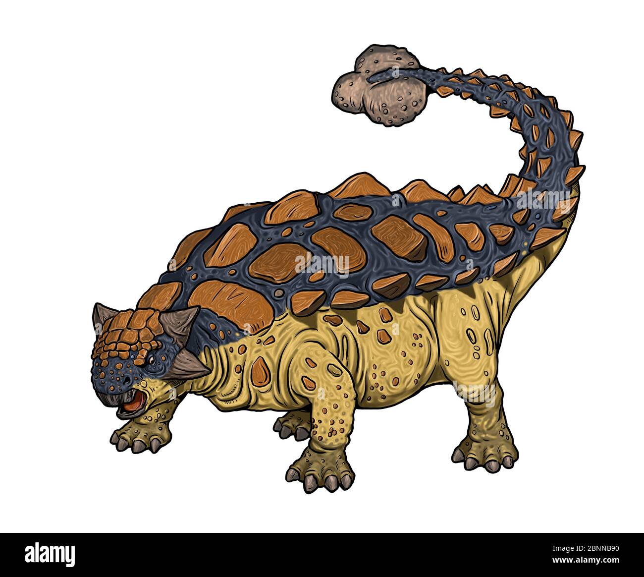 Dino comparison hi-res stock photography and images - Alamy Dino comparison hi-res stock photography and images - Alamy