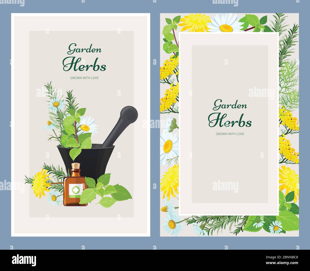 Floral cards. Herbalism medicine products wild herbs and flowers vintage design vector template Stock Vector