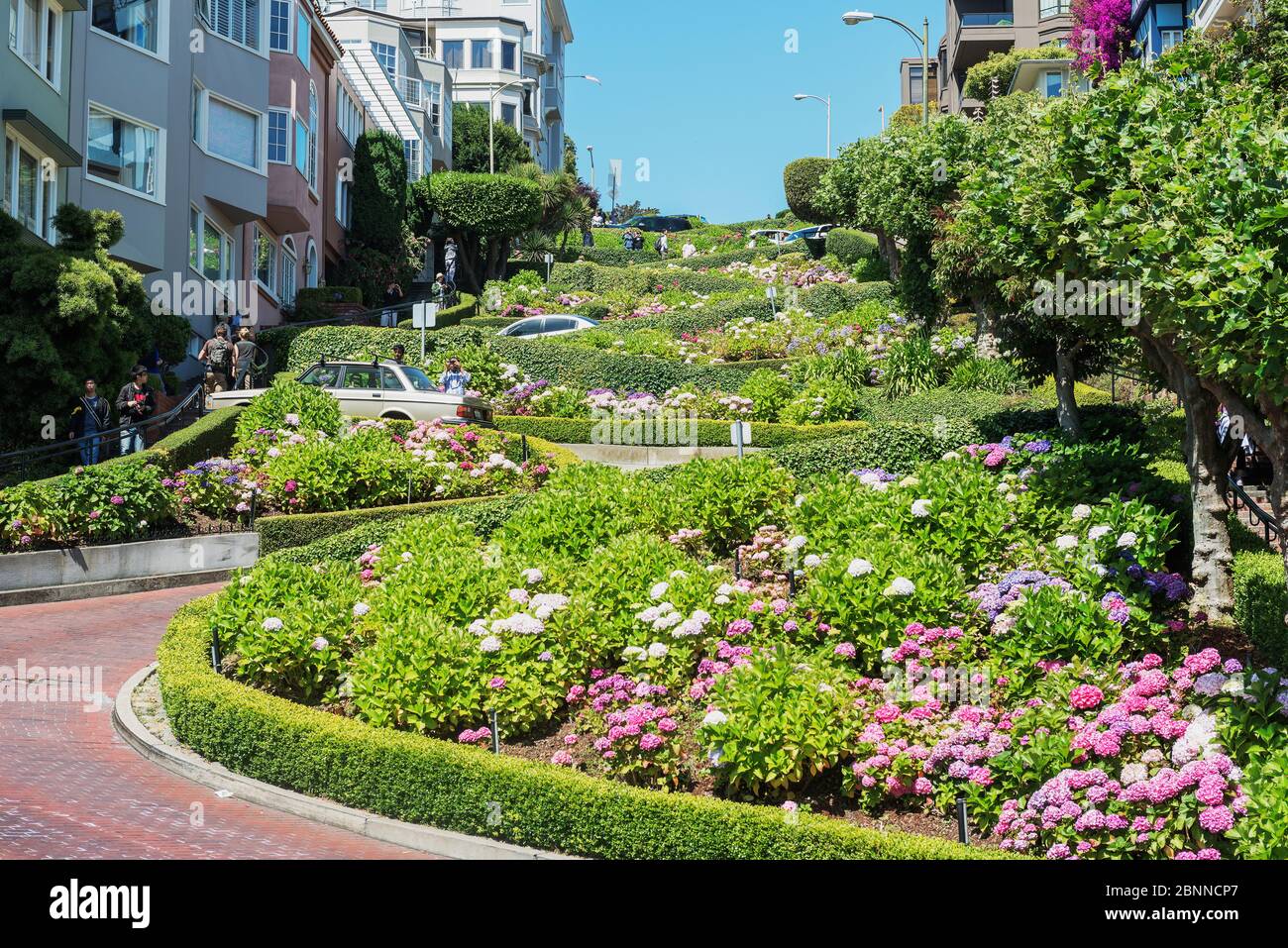 Lombard Street, San Francisco, California, USA Stock Photo