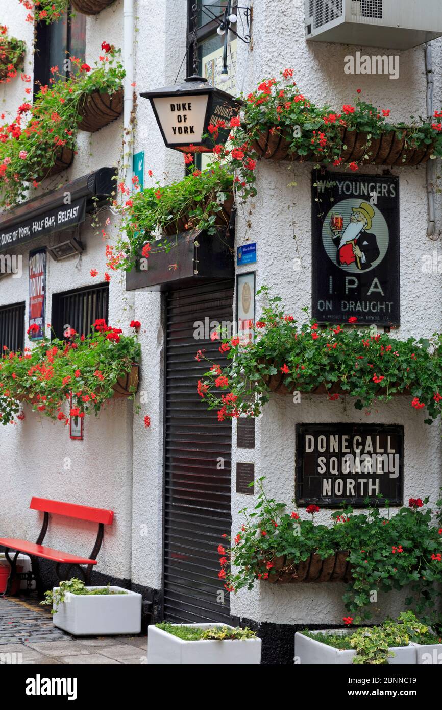 Duke of York Pub in Commercial Court, Belfast, Northern Ireland, United