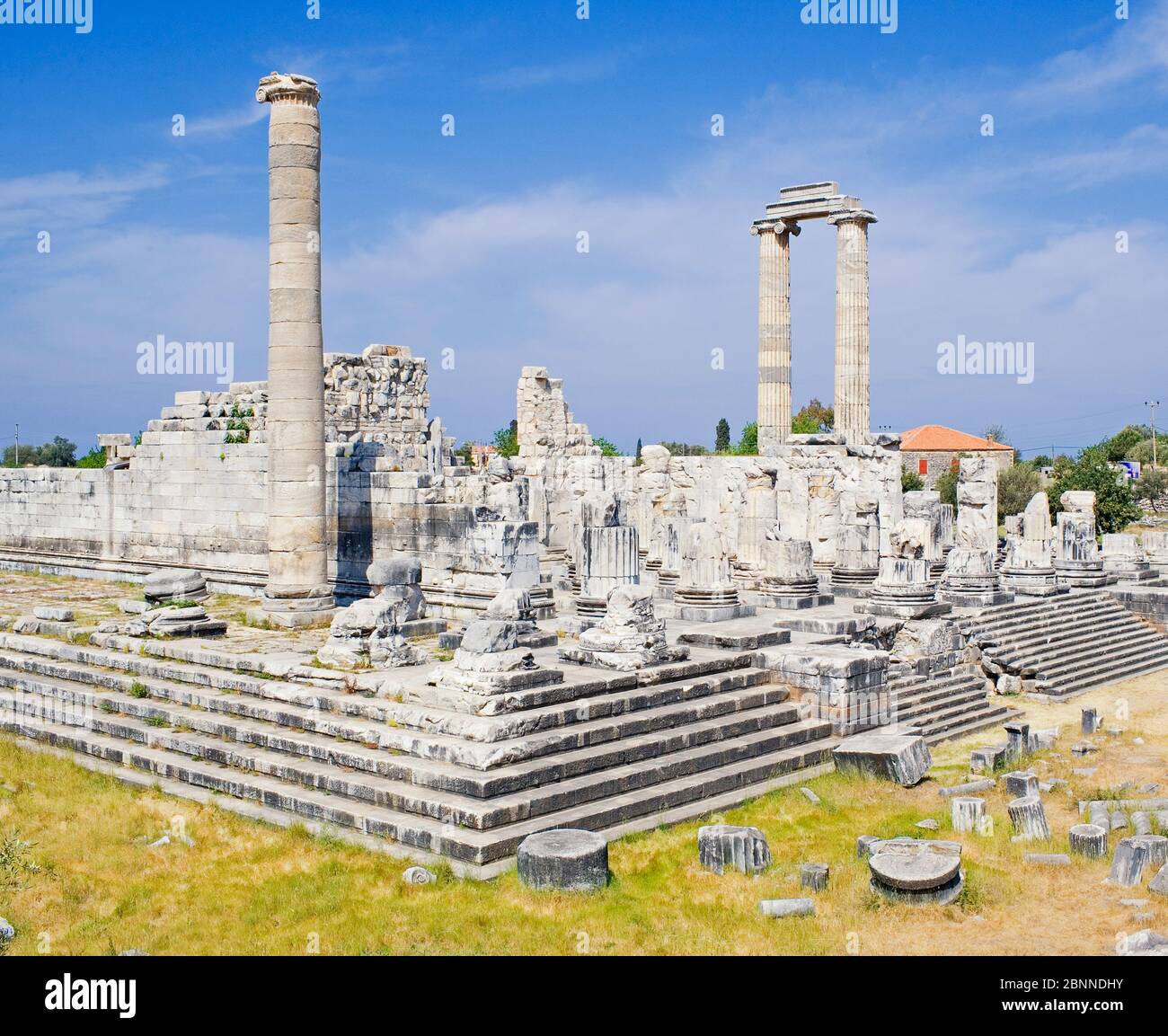 Temple Of Apollo Didyma Anatolia Turkey Asia Stock Photo Alamy