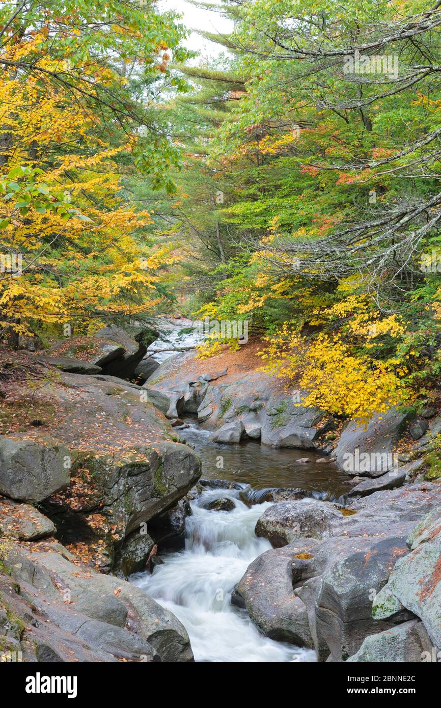 Sculptured Rocks Natural Area in Groton, New Hampshire during the