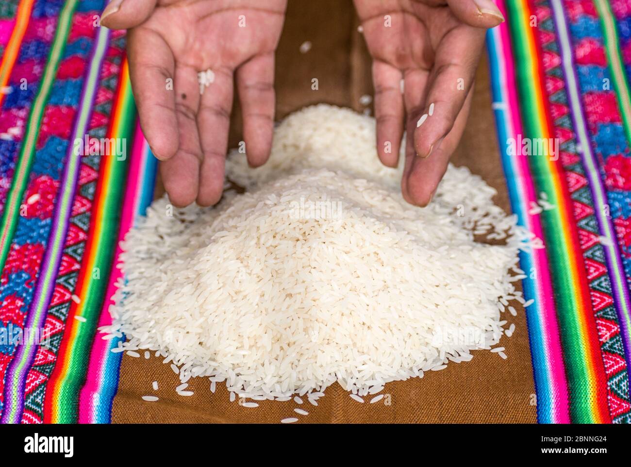 hand raised rice with colorful background Stock Photo - Alamy