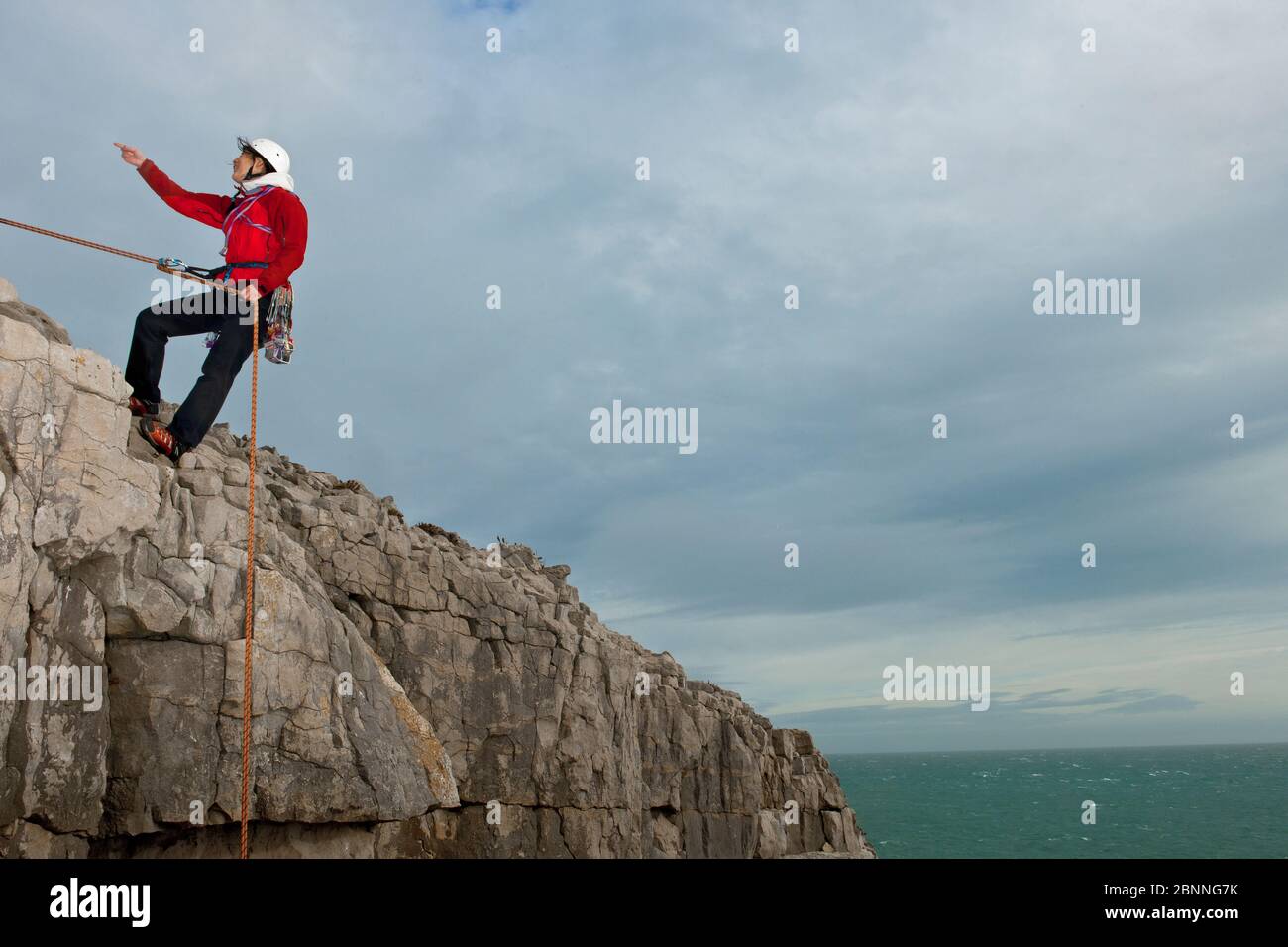 Female climber rappelling of seacliff in Swanage / England Stock Photo ...