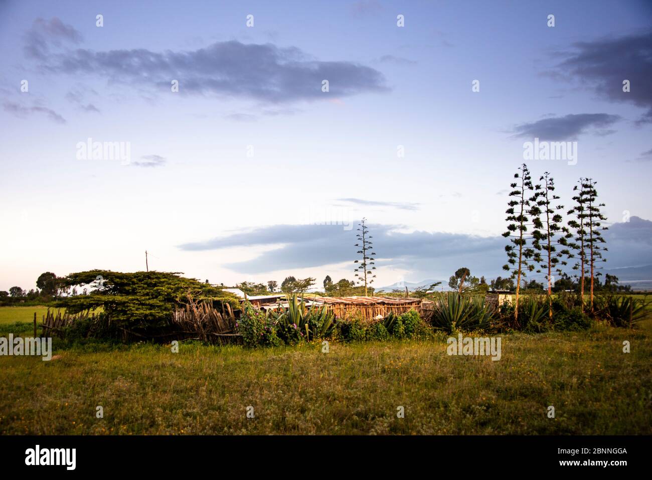African home hi-res stock photography and images - Alamy