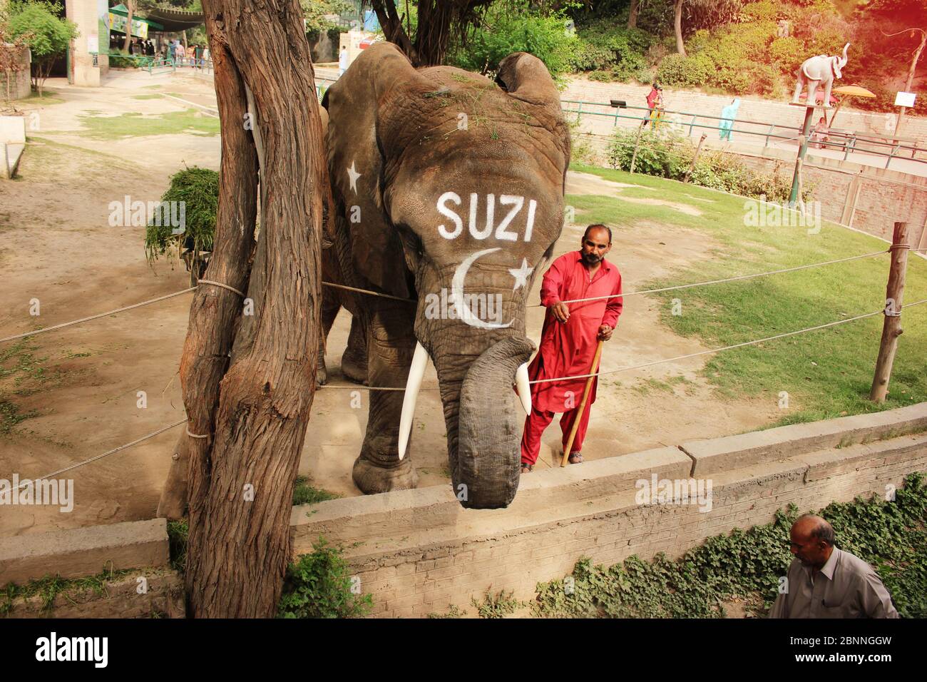 Elephant SUZI and trainer in the Lahore Zoo, Punjab, Pakistan 24/03