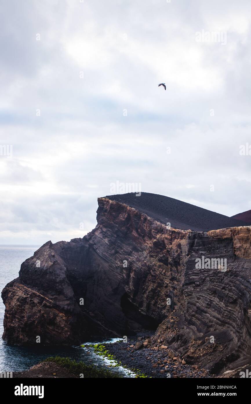 Azores, Faial, rocky coast, cloudy sky, bird Stock Photo