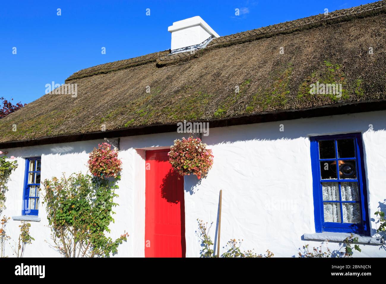 Thatched cottage near Bunratty Castle,County Clare,Munster,Ireland,Europe Stock Photo