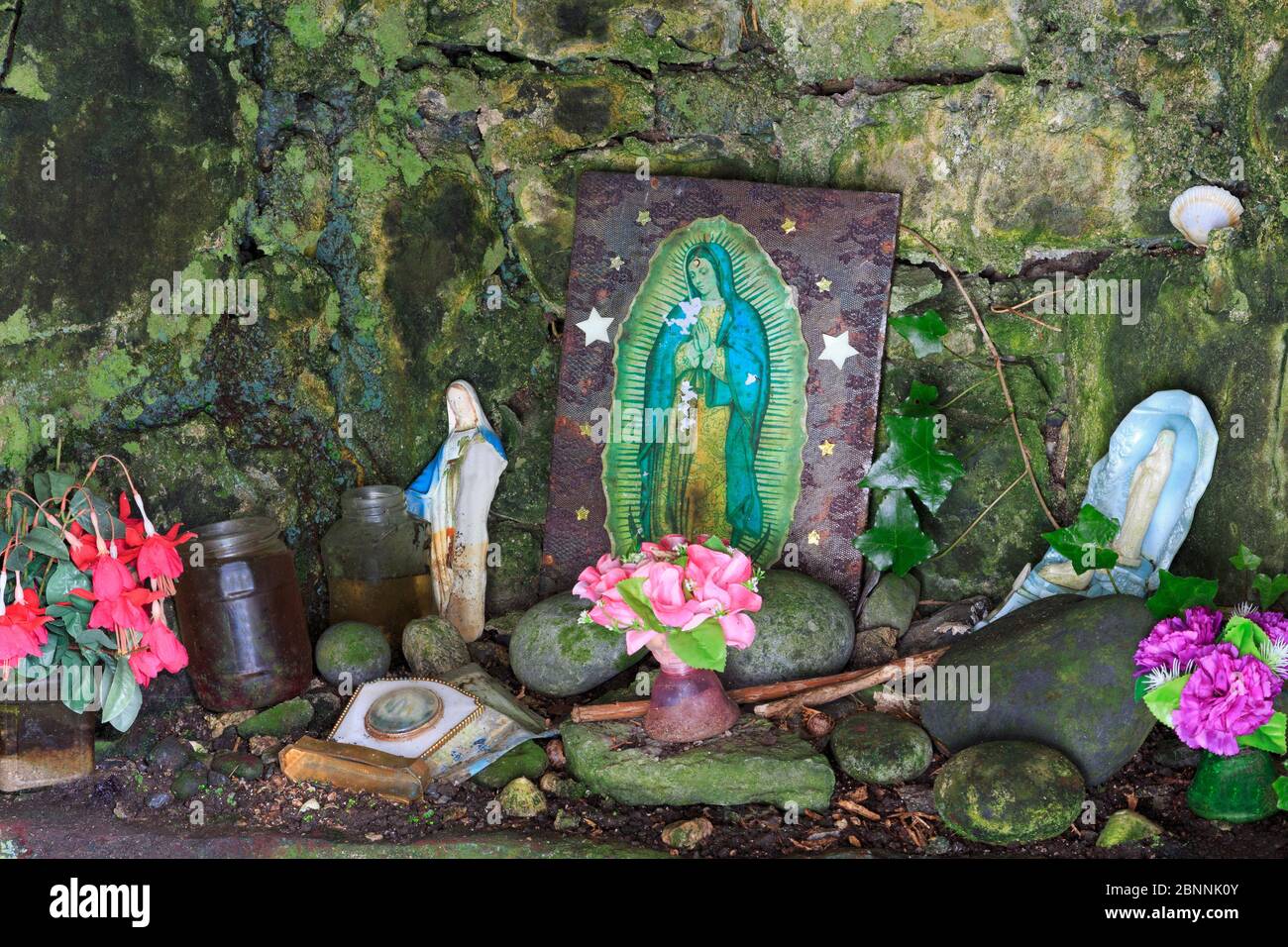 Holy Well at Gleninagh Castle,The Burren,County Clare,Munster,Ireland,Europe Stock Photo
