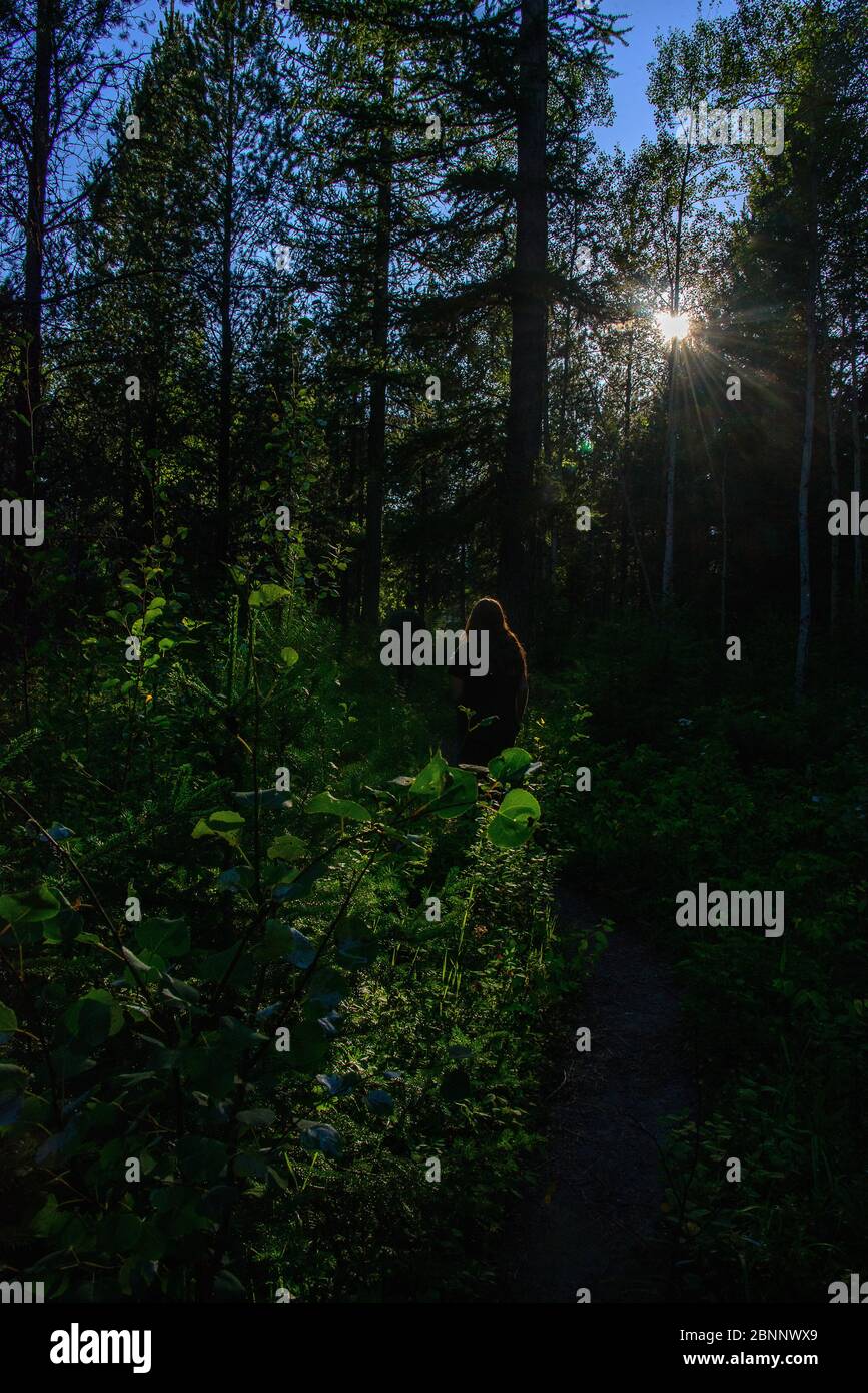 Girl walking alone in forest hi-res stock photography and images - Alamy