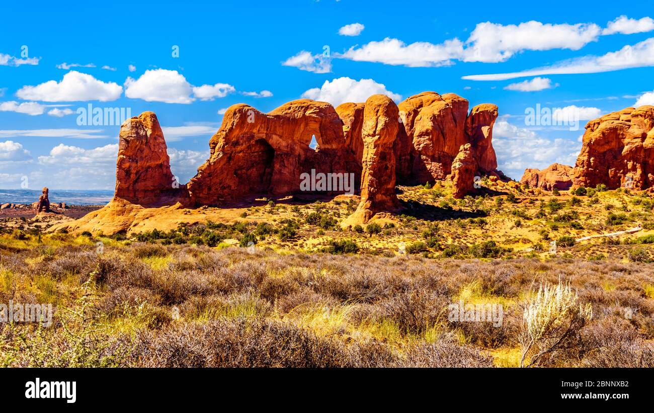 Unique Red Sandstone Formations of the Parade of Elephants in Arches National Park near the town of Moab in Utah, United States Stock Photo