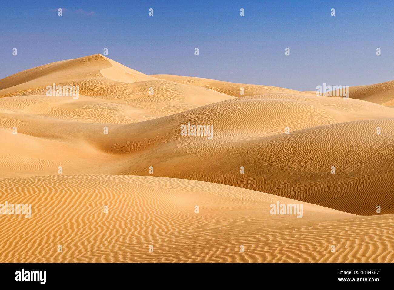 Desert, sand, dunes, red sand, red dunes, blue sky, midday light Stock Photo