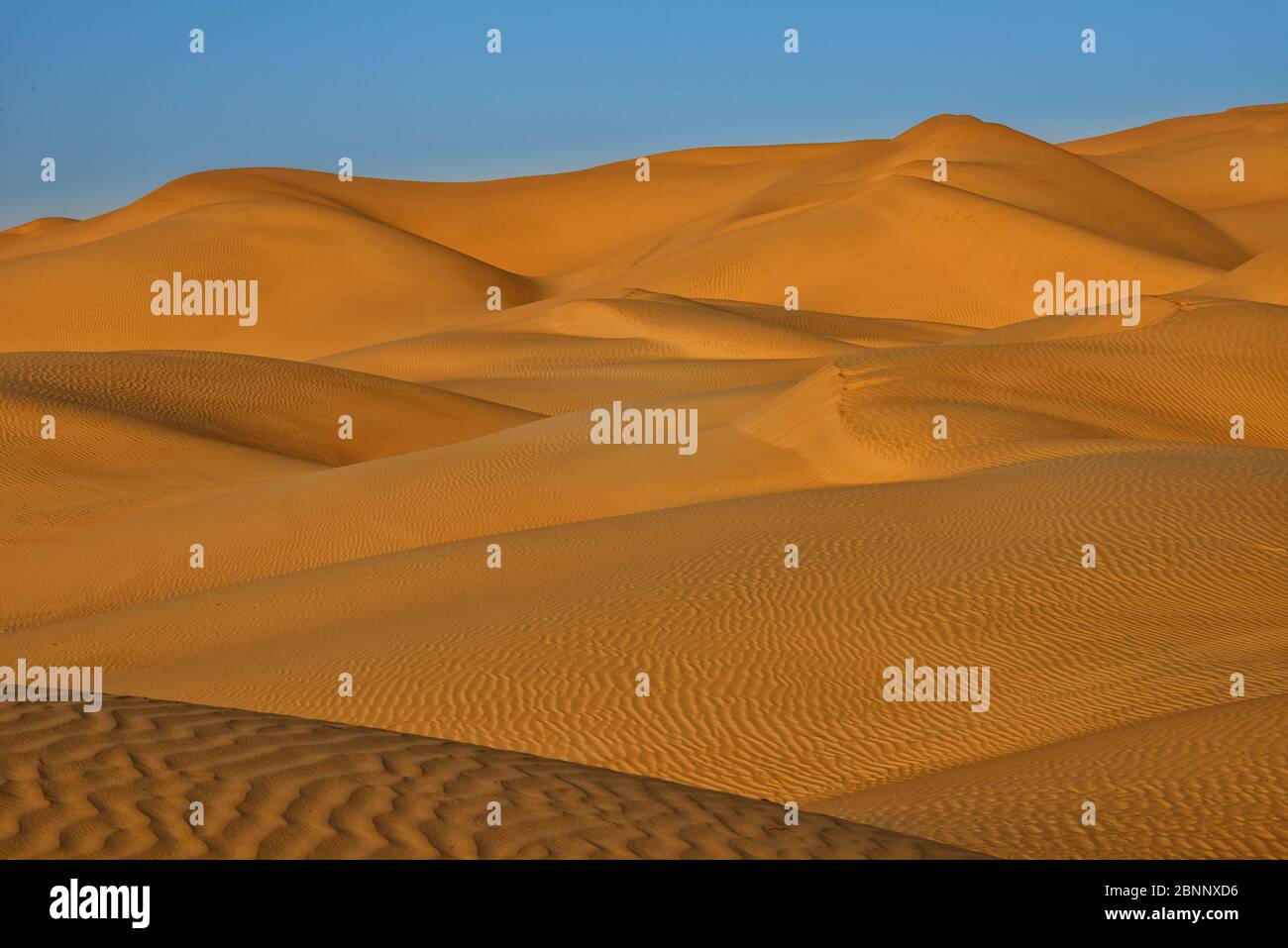 Desert, sand, dunes, vastness, sunrise, morning mood Stock Photo