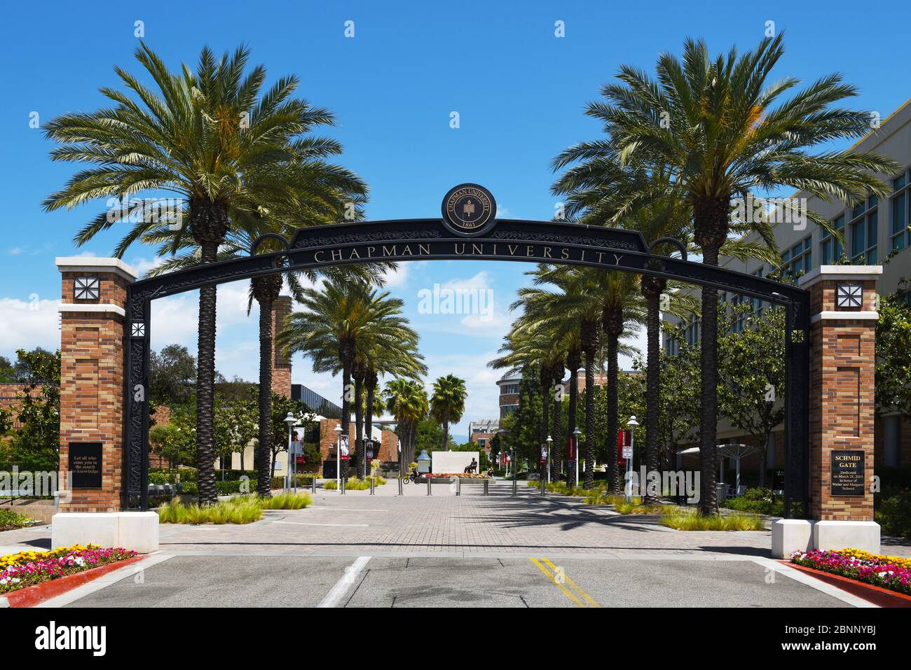 Chapman university