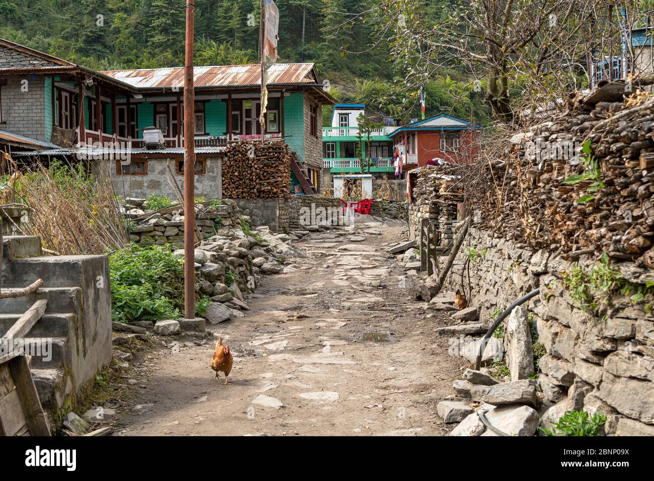 Mountain village Thonje, from the Manaslu Circuit you meet the Annapurna circuit. Stock Photo