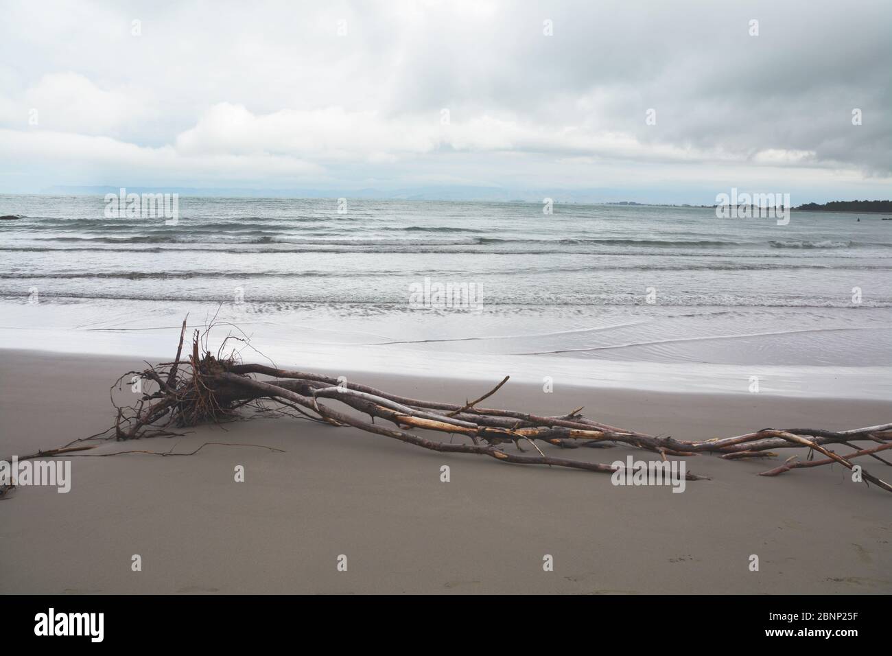 Driftwood On Beach Against Sky, Ninety Miles Beach, New Zeland Stock Photo