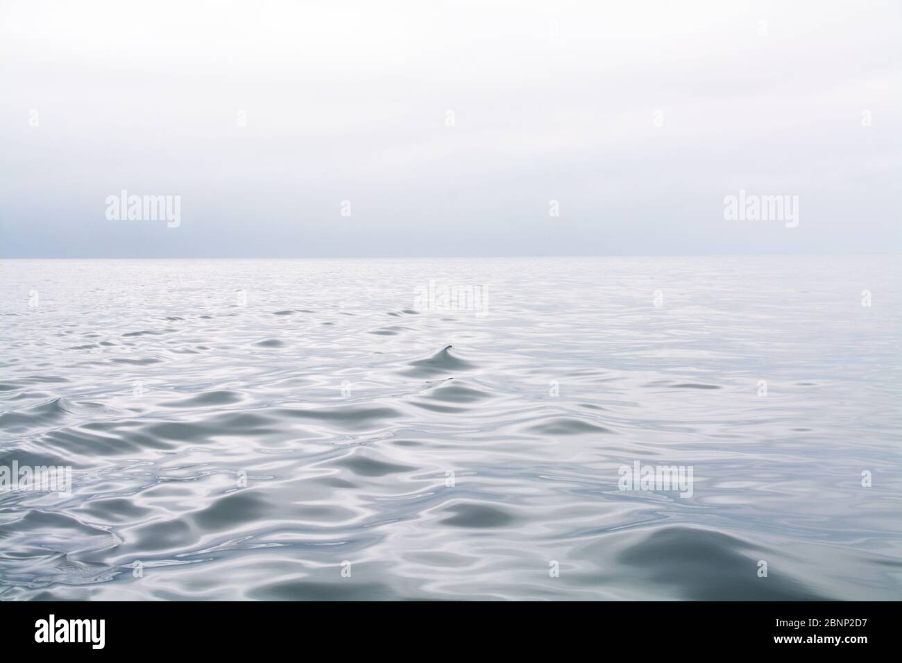 easy waves on the open sea, new zealand Stock Photo