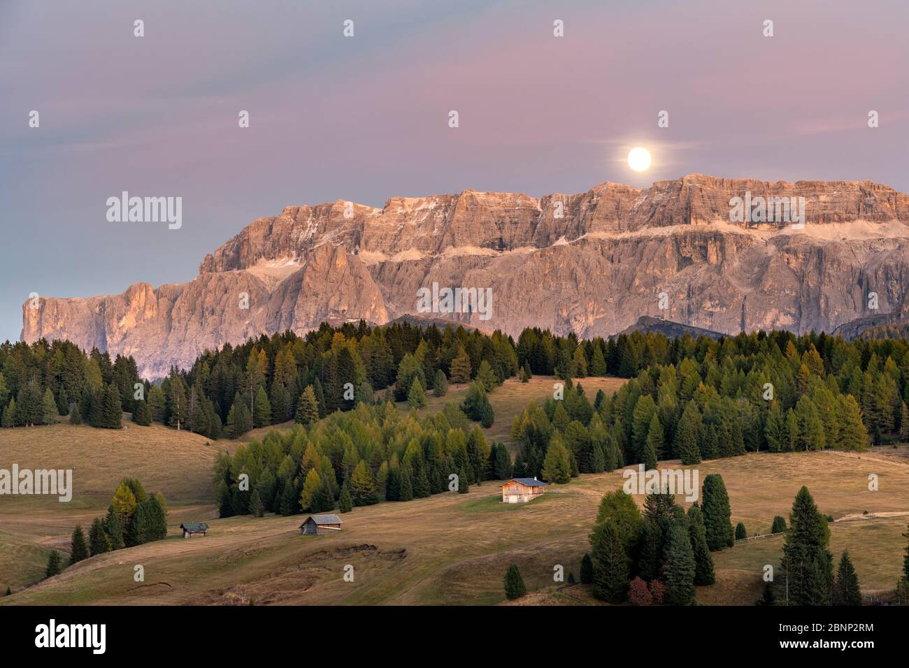 Alpe di Siusi, Castelrotto, South Tyrol, Bolzano province, Italy, Europe. The moon rising over the Sella group Stock Photo