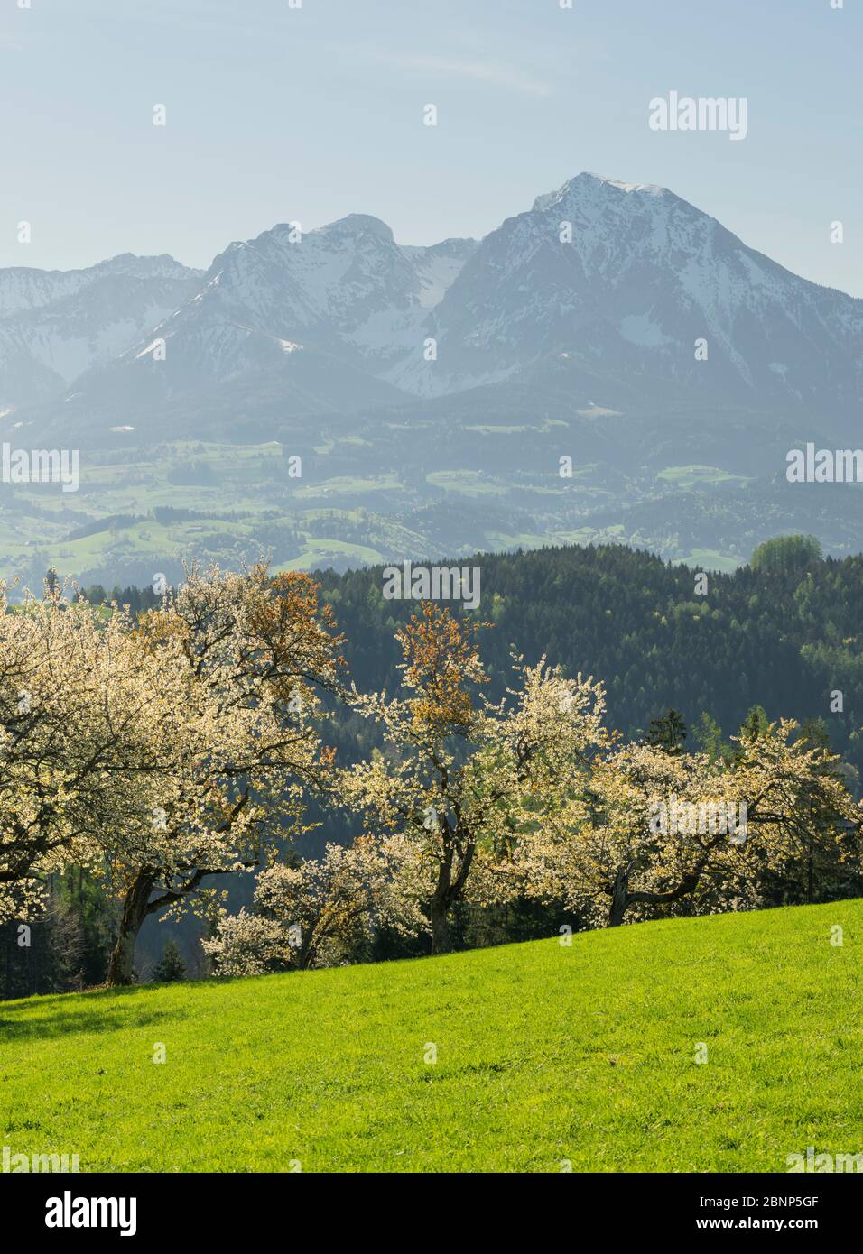 Haller Mauer from Tamberg, Upper Austria, Austria Stock Photo