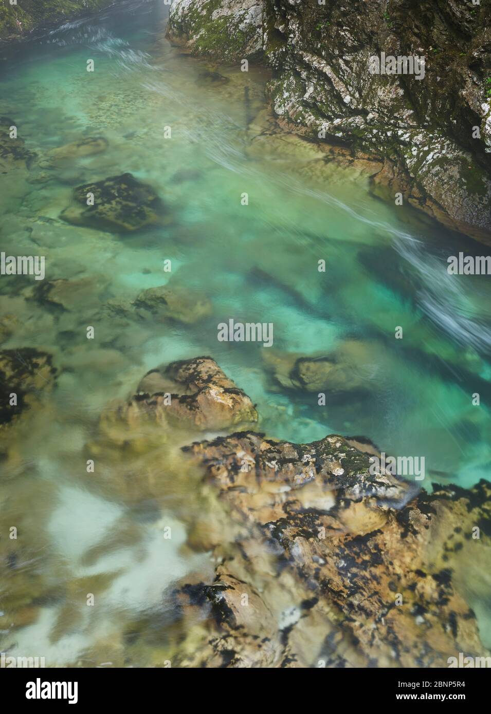 Radovna River, Vintgar Gorge, Slovenia, Europe Stock Photo