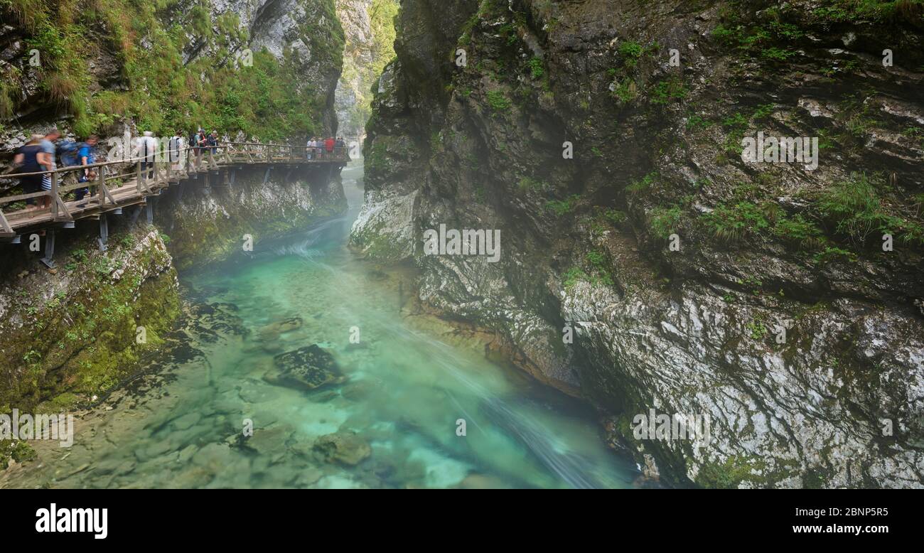 Radovna River, Vintgar Gorge, Slovenia, Europe Stock Photo
