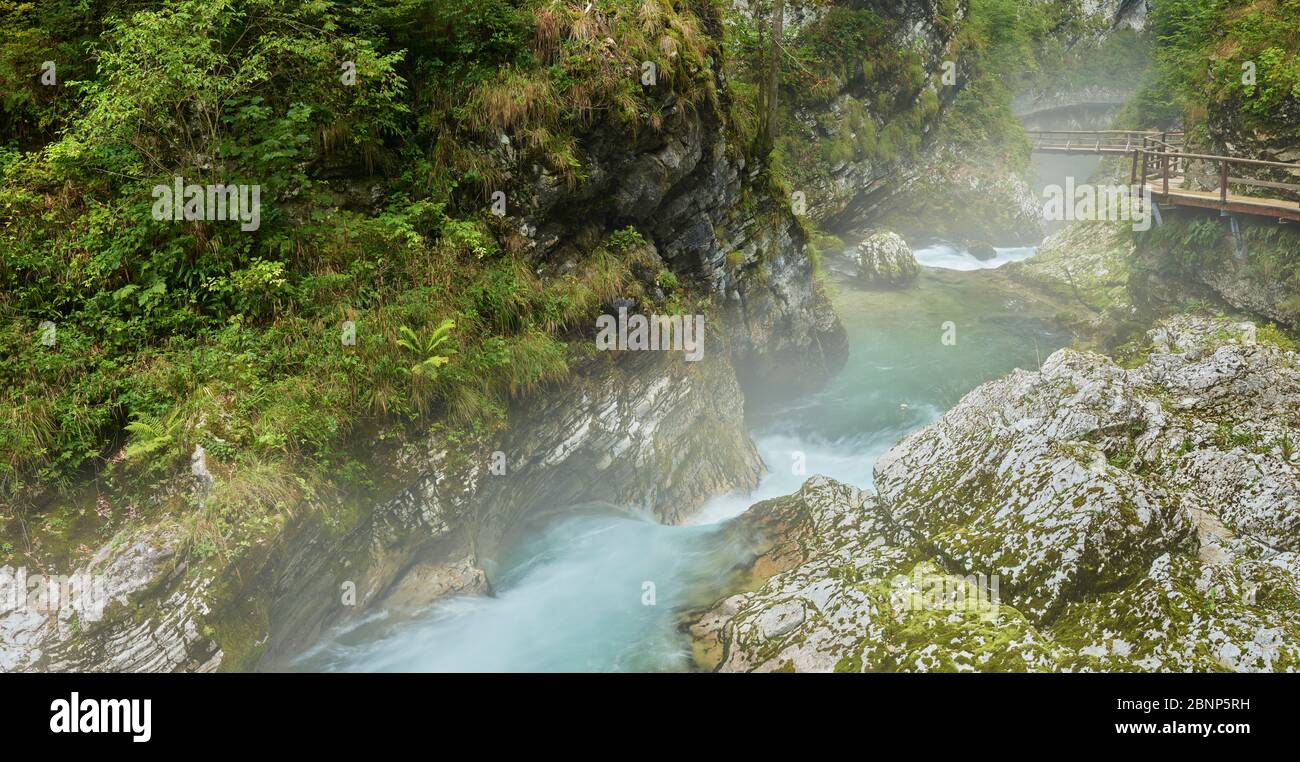 Radovna River, Vintgar Gorge, Slovenia, Europe Stock Photo