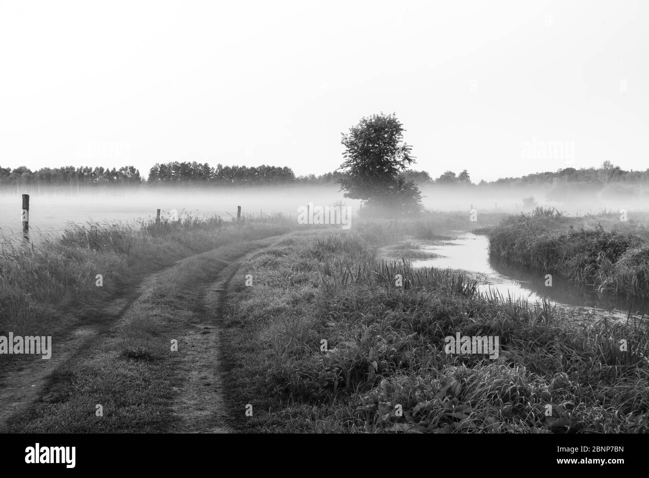 Mist on a path between two paddocks and a small river Stock Photo