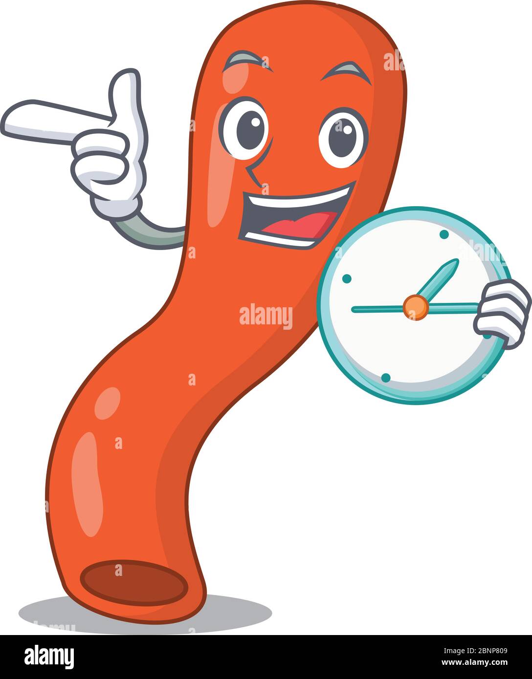mascot design style of appendix standing with holding a clock Stock ...